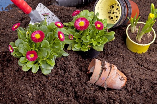 Garden waste recycling and sorting at Park Royal service site