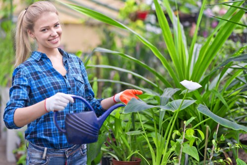 Supervisor reviewing emergency preparedness for garden work