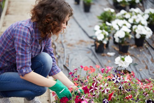 Gardeners Park Royal introducing local outdoor care and maintenance