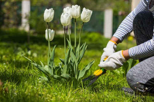 Sustainable garden maintenance with waste separation in Park Royal
