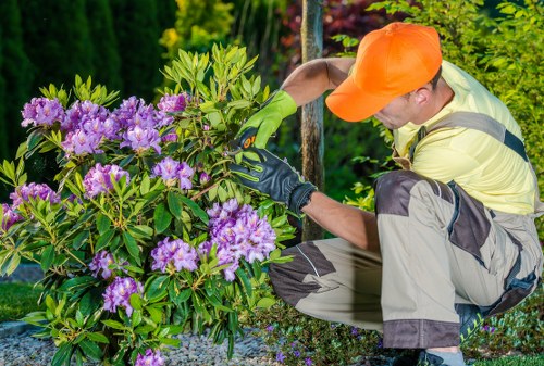 Gardeners Park Royal improving a commercial outdoor area