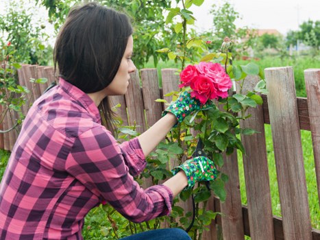 Internal handling of a gardening complaint and resolution