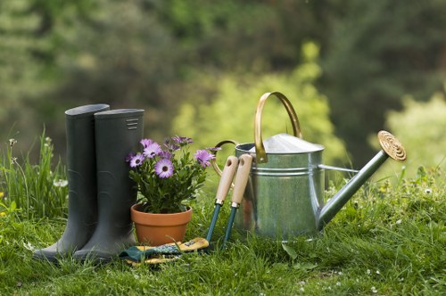 Professional garden care and planting in Park Royal