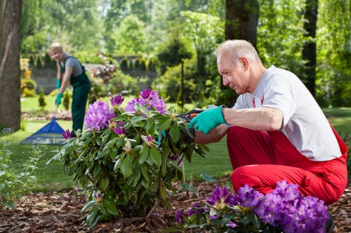 Low-maintenance landscape gardening in Park Royal with paving and shrubs