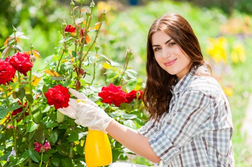 Seasonal gardening services in Park Royal with planting and border care