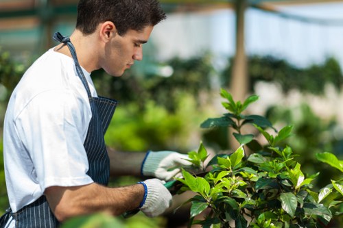 Commercial grounds maintenance and hedge trimming in Park Royal