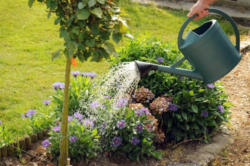Safe tree removal and pruning services in Park Royal