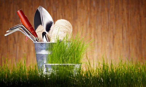 Healthy green hedge care in Park Royal during regular trimming