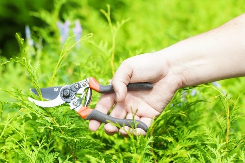 Screen-reader friendly Park Royal gardening content layout