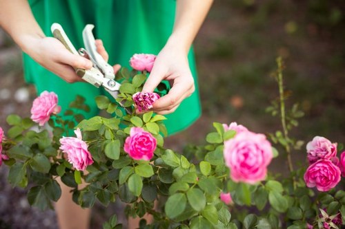 Charity reuse and recycling partnership for garden items in Park Royal