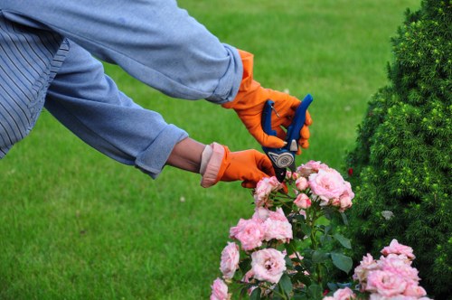 Seasonal shrub and tree maintenance in Park Royal