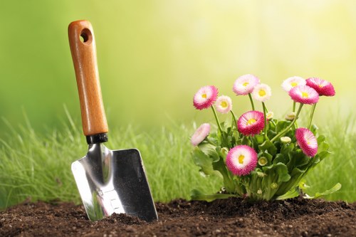Review of a gardening service concern in progress