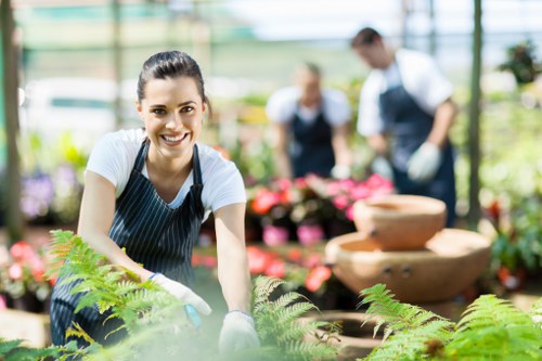 Clearing a cluttered outdoor space in Park Royal