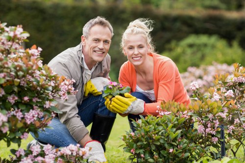 Neatly trimmed hedge and lawn care in Park Royal
