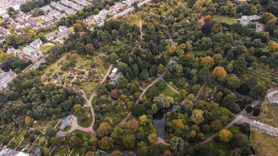 A large deciduous tree with a thick, dark brown trunk and sprawling branches covered in vibrant yellow and green leaves, casting a dappled shadow on the grassy park ground below. The grass appears wel